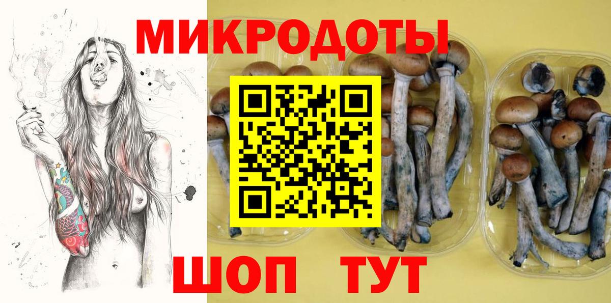 Псилоцибиновые грибы ЛСД  наркотики  Псилоцибиновые грибы Psilocybine cubensis  Тосно  Вход с VPN 